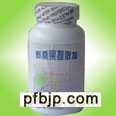 B(yng)ĿBilberry extract